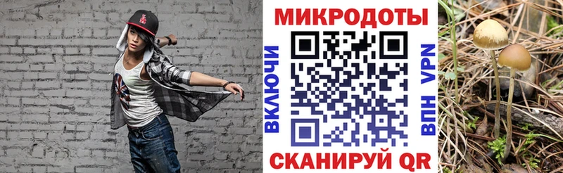 Псилоцибиновые грибы Magic Shrooms  Прохладный 